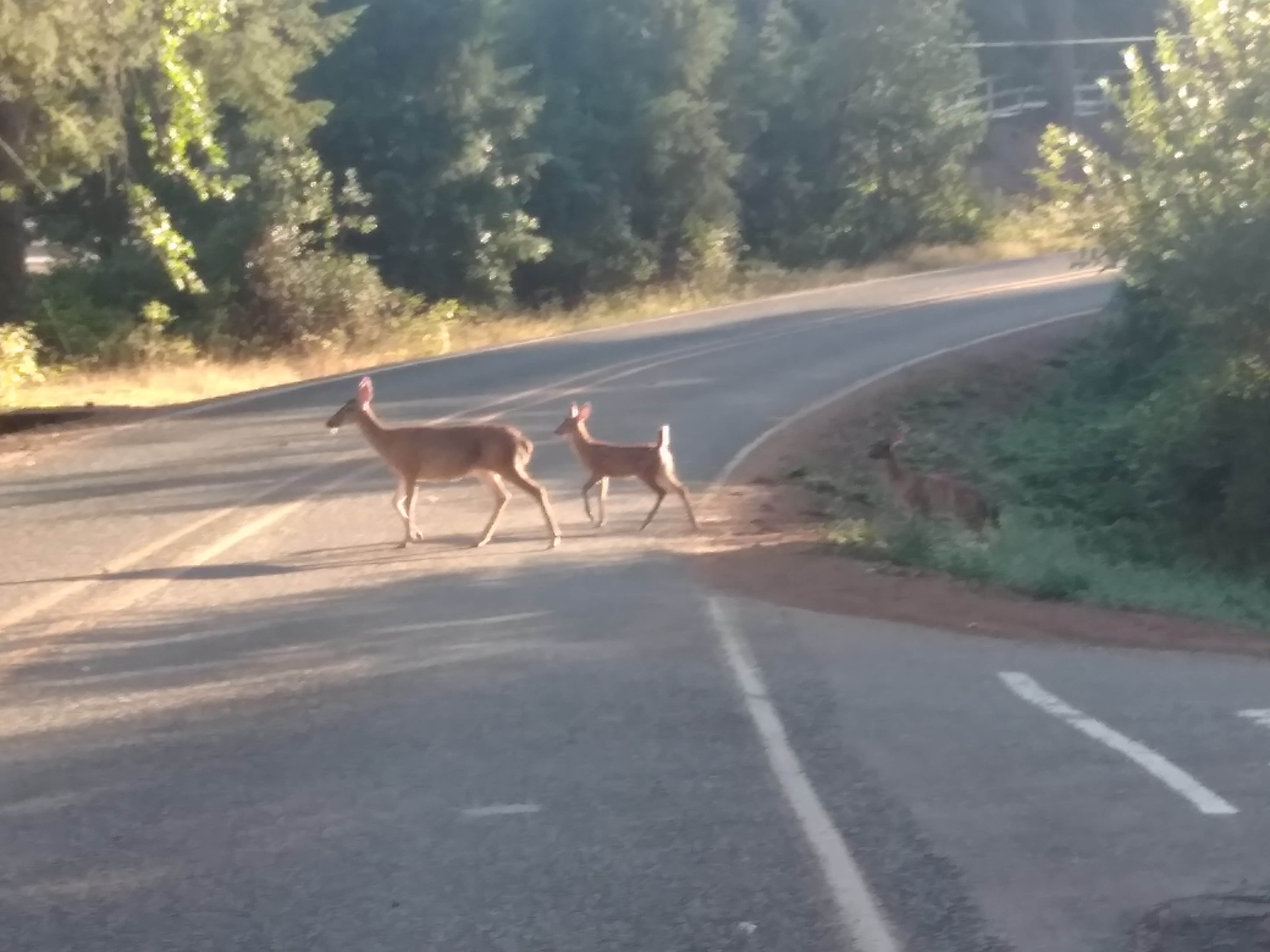 Camper-submitted photo at Lake Selmac County Park near O'Brien, OR