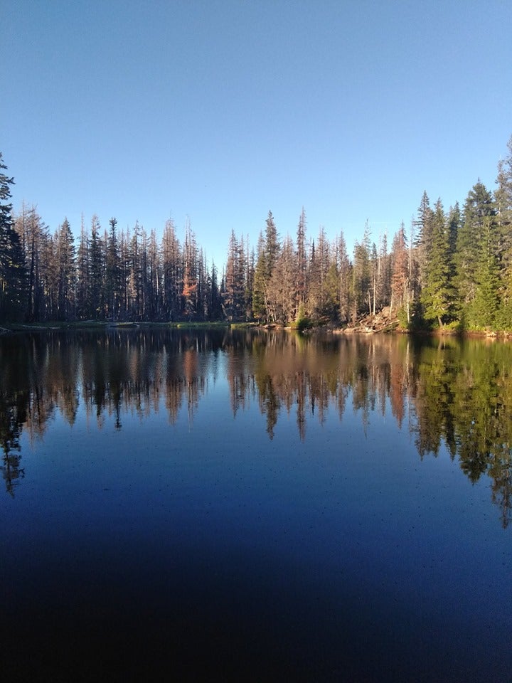 Camper submitted image from Lava Camp Lake Campground - 4