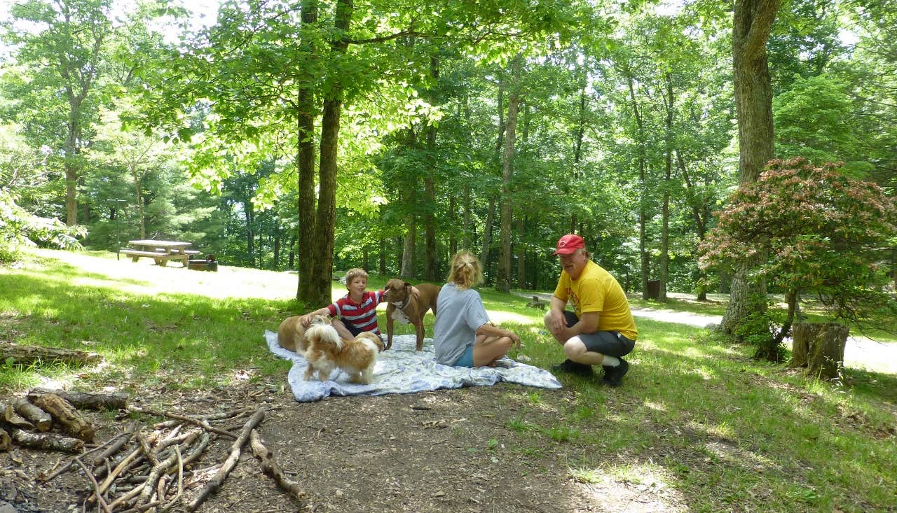 Camper-submitted photo at Comers Rock Campground near Elk Creek, VA