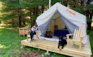 The Dyrt's photo of camping with pets at Cairnsmore near Saratoga Springs, NY