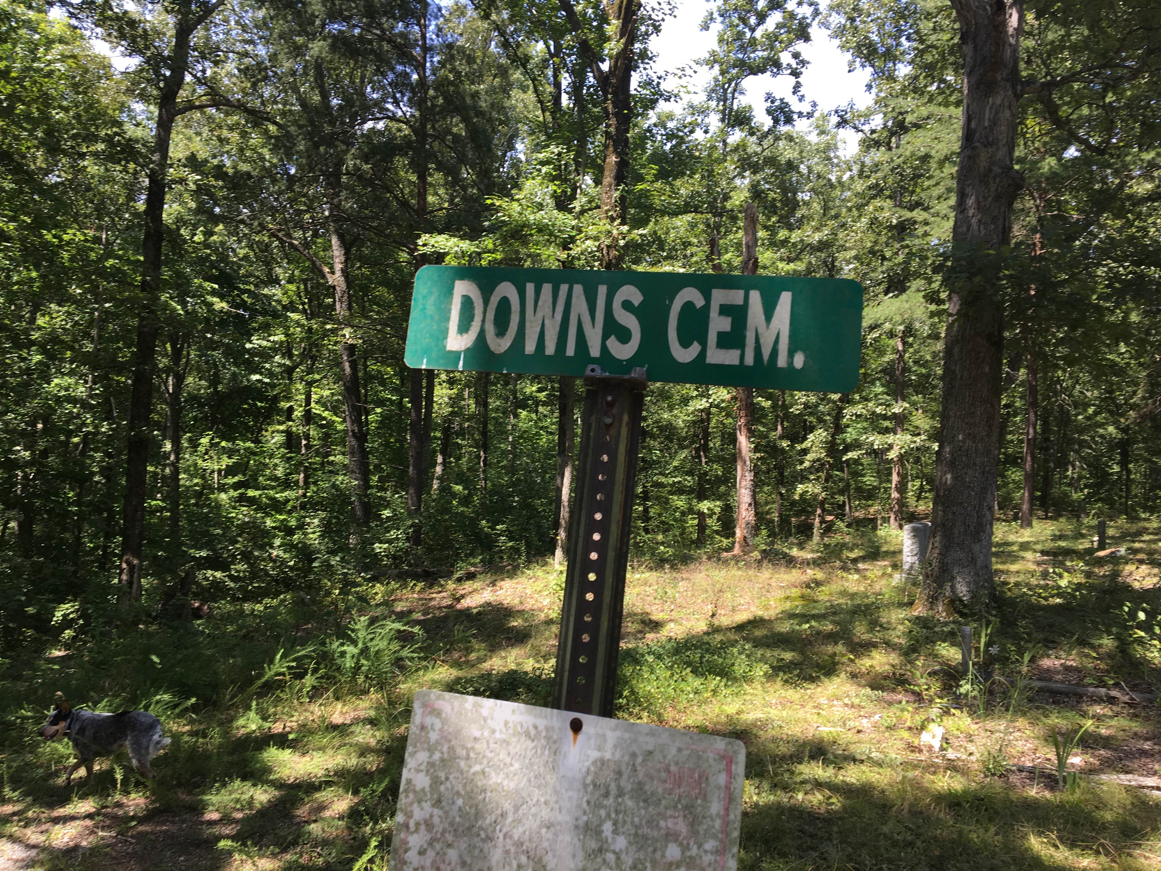 Camper-submitted photo at Jones Creek near Dresden, TN