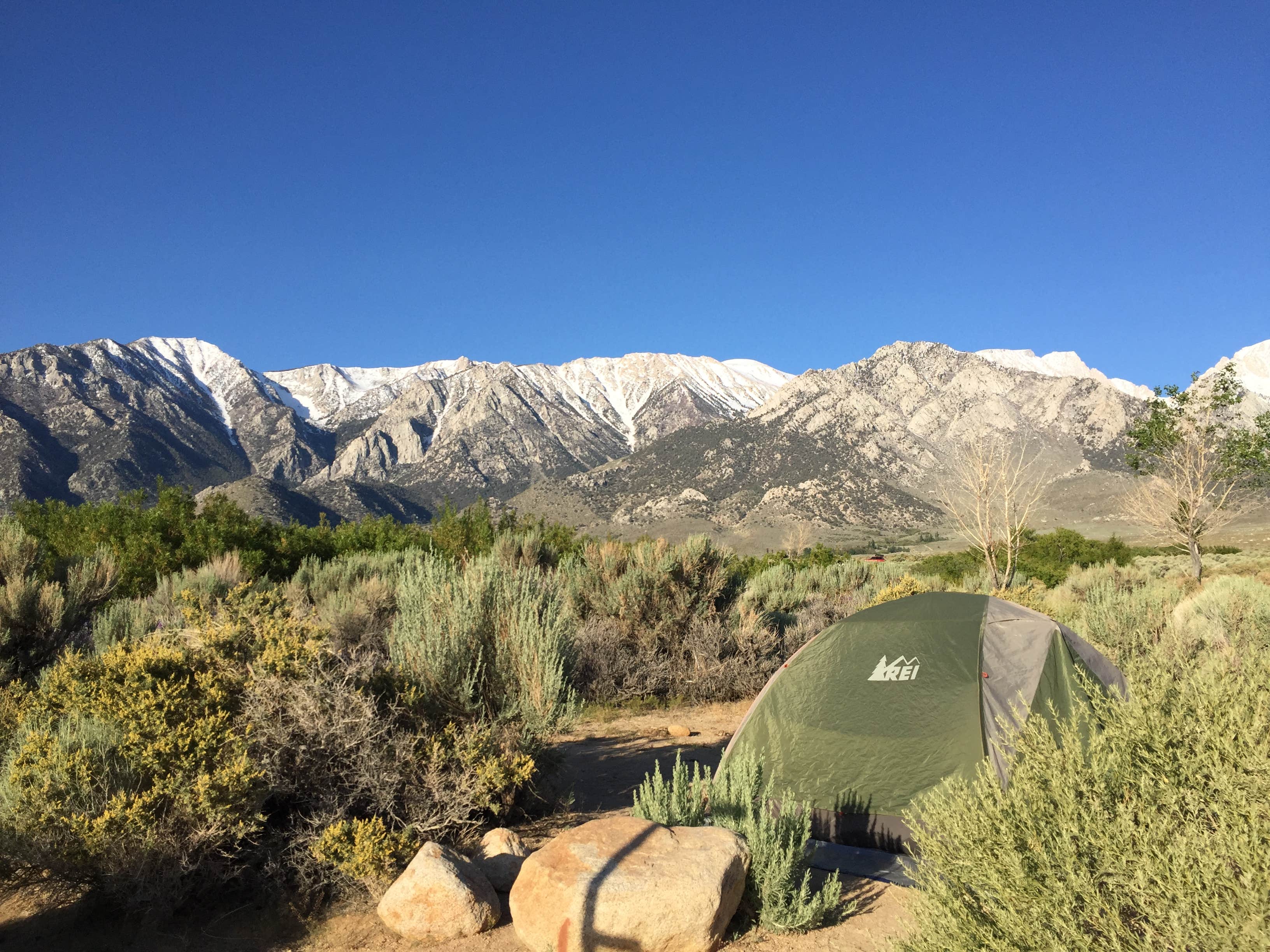 C N.'s photo at Tuttle Creek Campground — Alabama Hills near Alabama Hills, CA