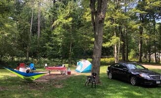 Janelle D.'s photo at Sleeper State Park Campground near Caro, MI