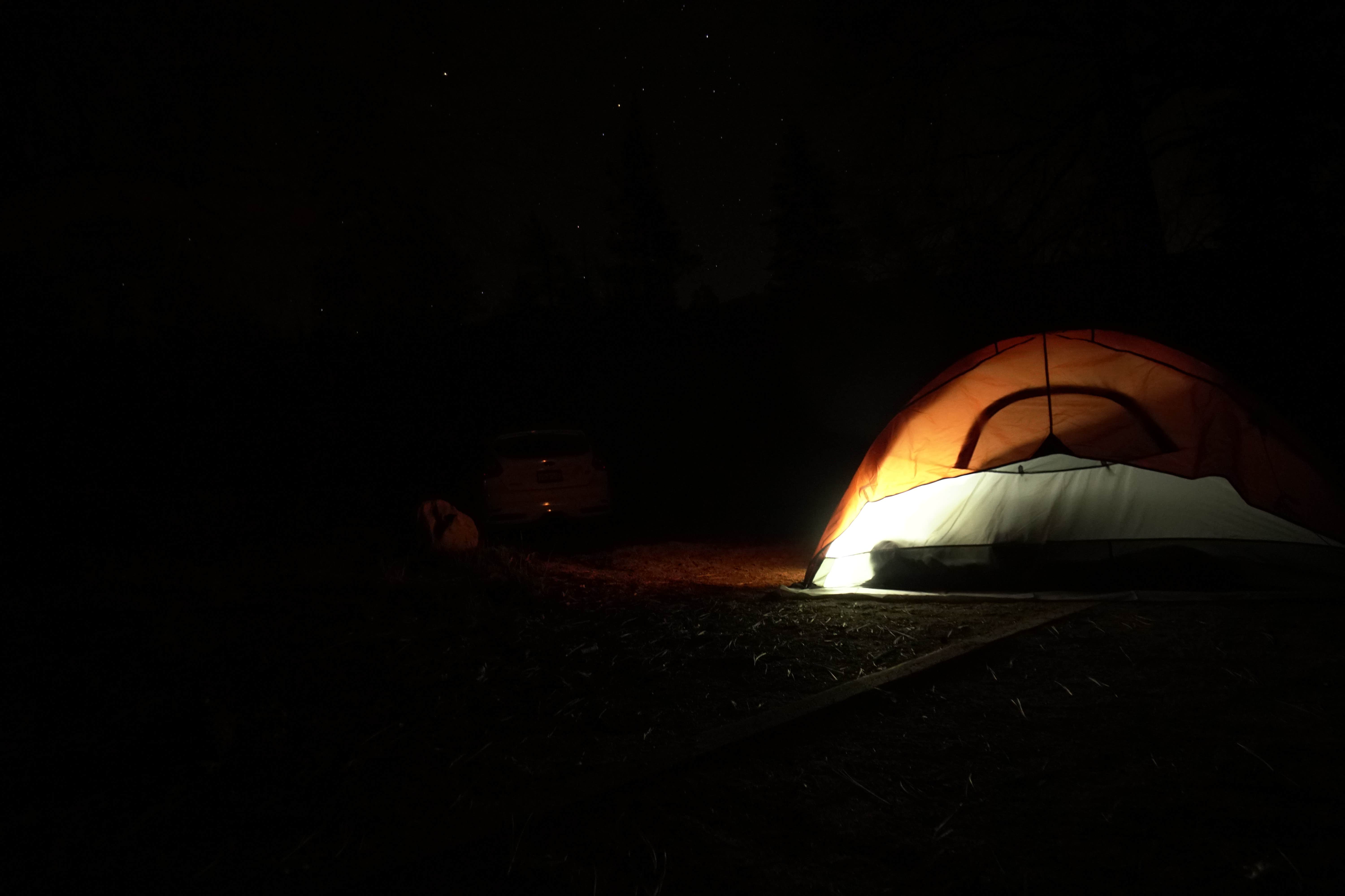 Camper submitted image from Barton Flats Family Campground - 2