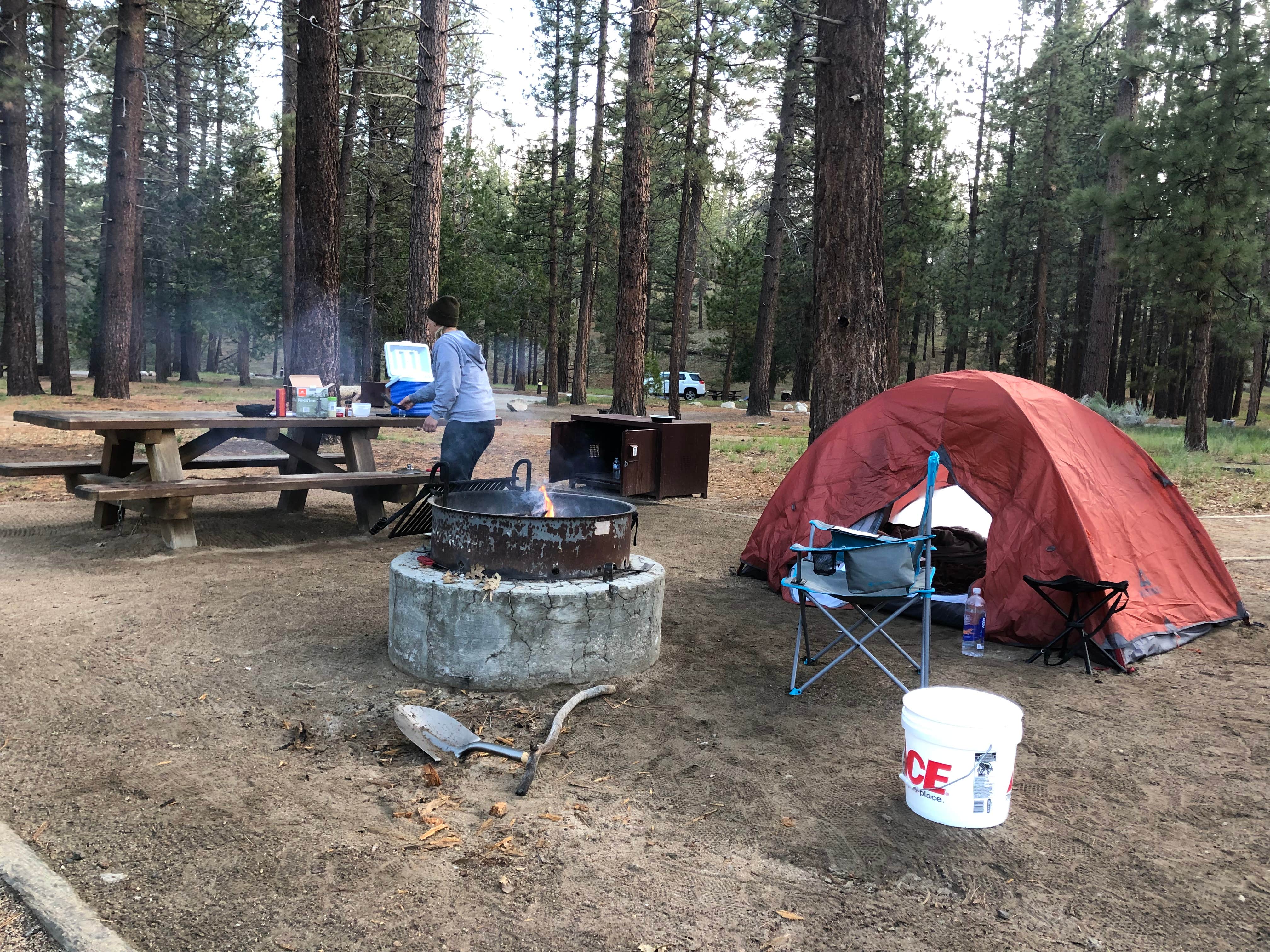 Jersey F.'s photo at Barton Flats Family Campground near San Bernardino National Forest