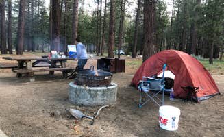 Jersey F.'s photo at Barton Flats Family Campground near Yucaipa, CA