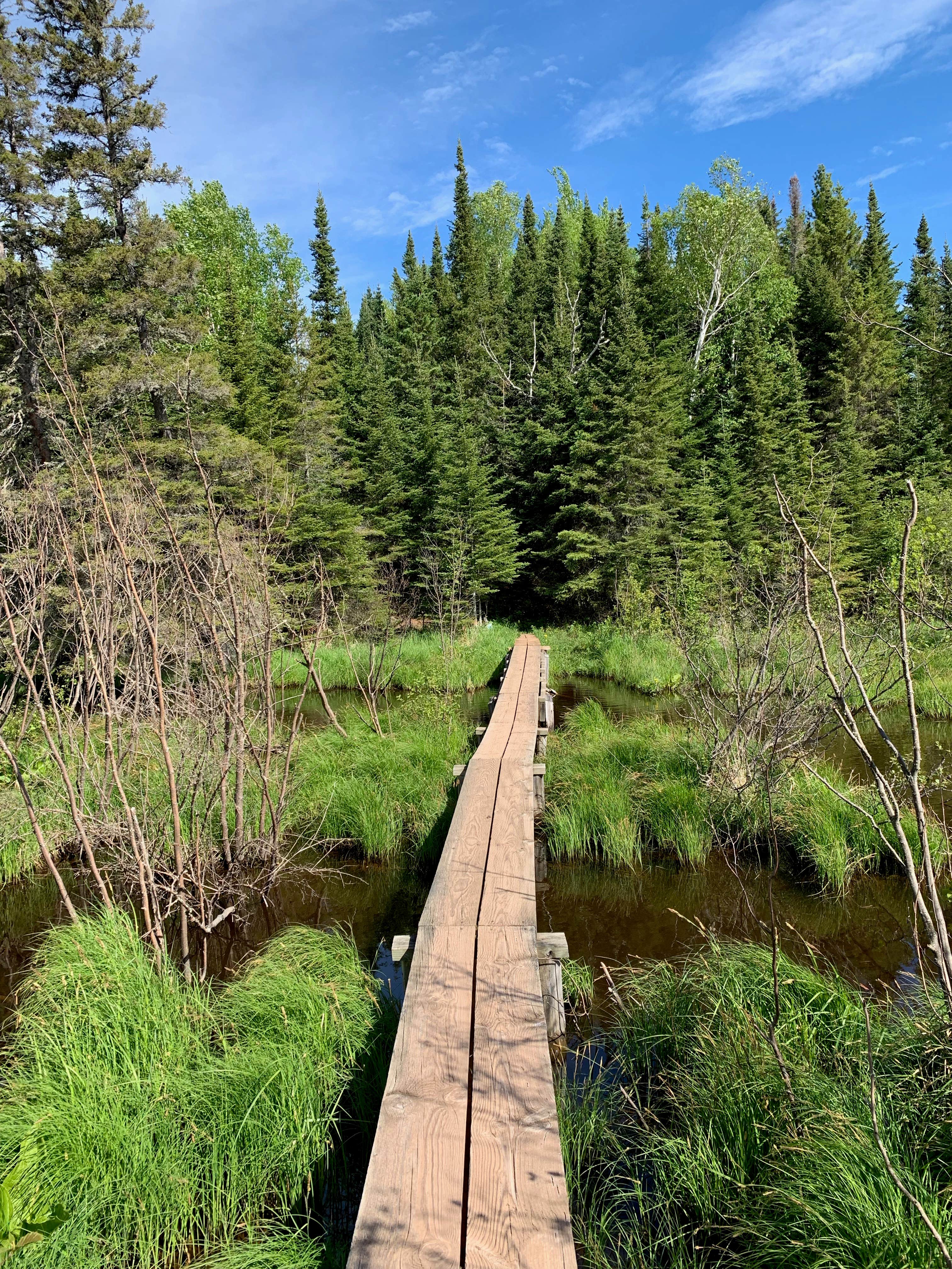 Camper submitted image from Moskey Basin Campground — Isle Royale National Park - 4