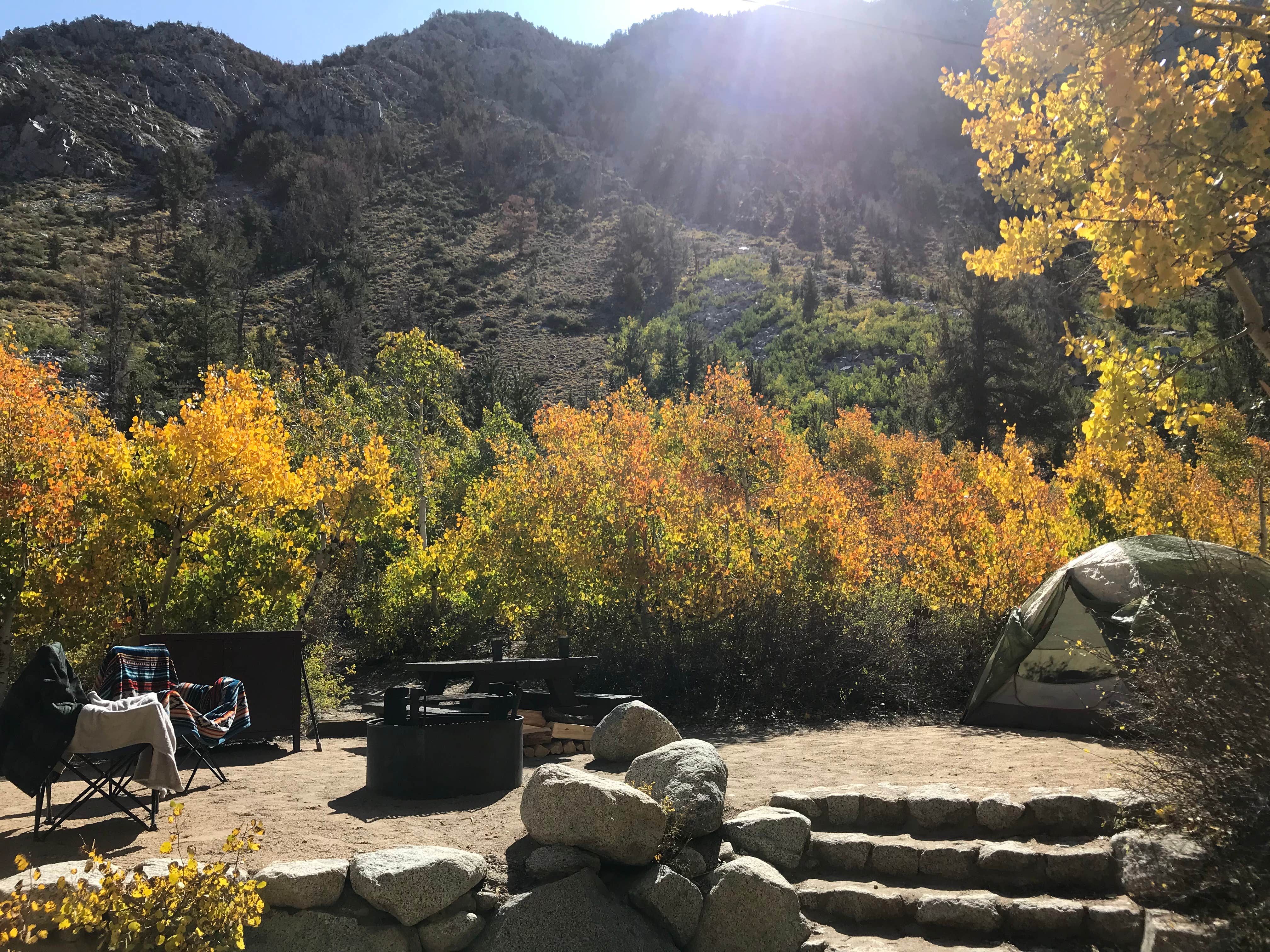 Camping near Four Jeffery Campground: Sabrina Campground, Bishop, California
