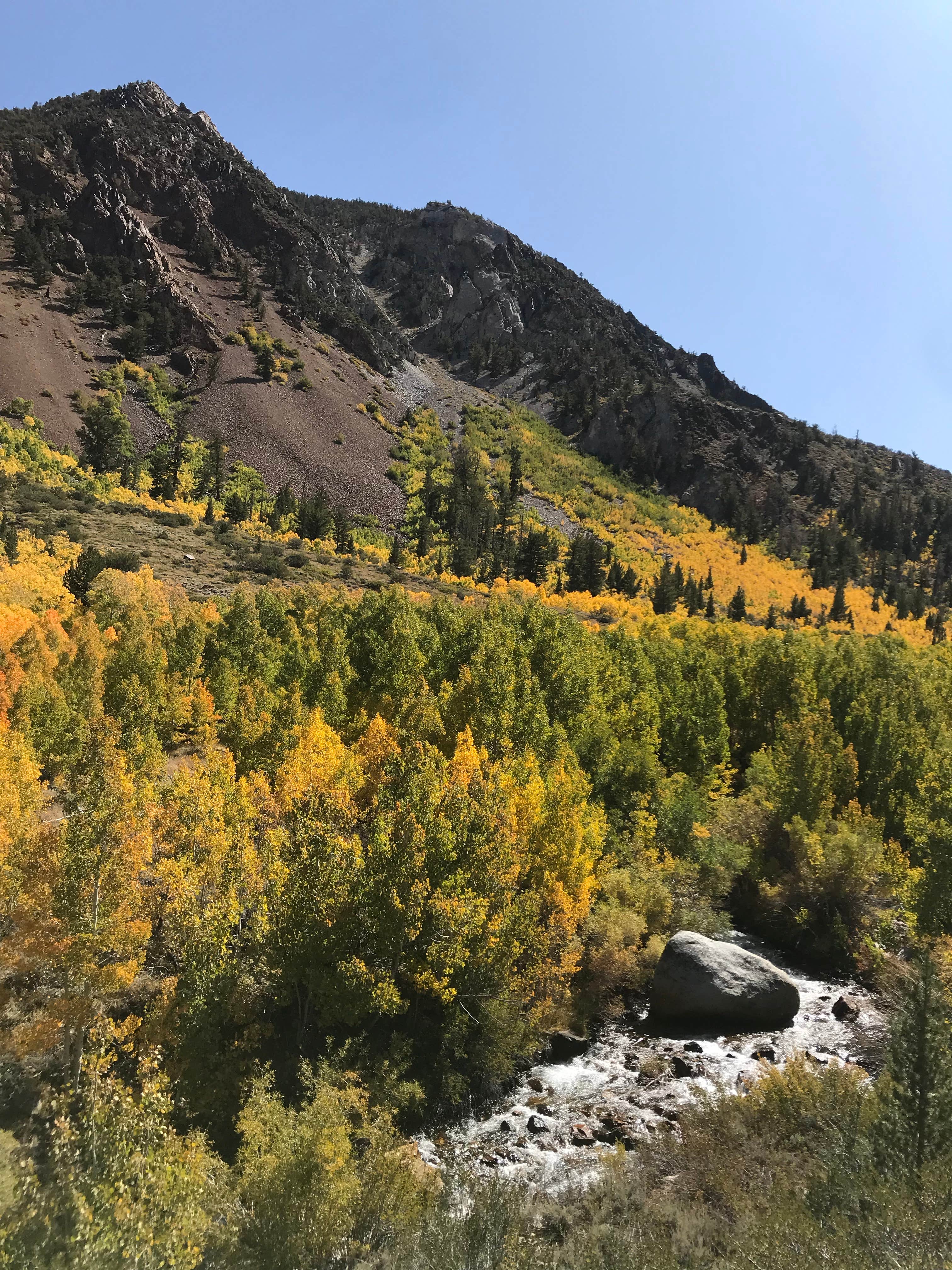 Camper-submitted photo at Sabrina Campground near Big Pine, CA