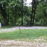 Review photo of Barren River Tailwater by Shelly S., August 14, 2017
