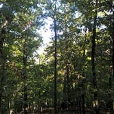 Review photo of Devil's Den State Park Campground by Erin-Frannie R., October 1, 2019