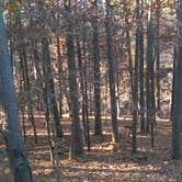 Review photo of Devil's Den State Park Campground by Erin-Frannie R., October 1, 2019