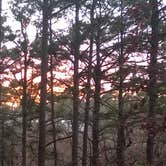 Review photo of Devil's Den State Park Campground by Erin-Frannie R., October 1, 2019