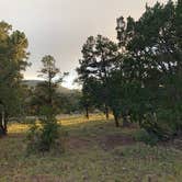 Review photo of Piñon Campground by Lindsey S., October 1, 2019