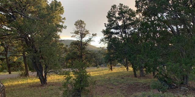 Camper submitted image from Piñon Campground