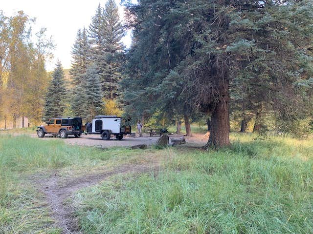 Camper submitted image from West Dolores Campground - 5