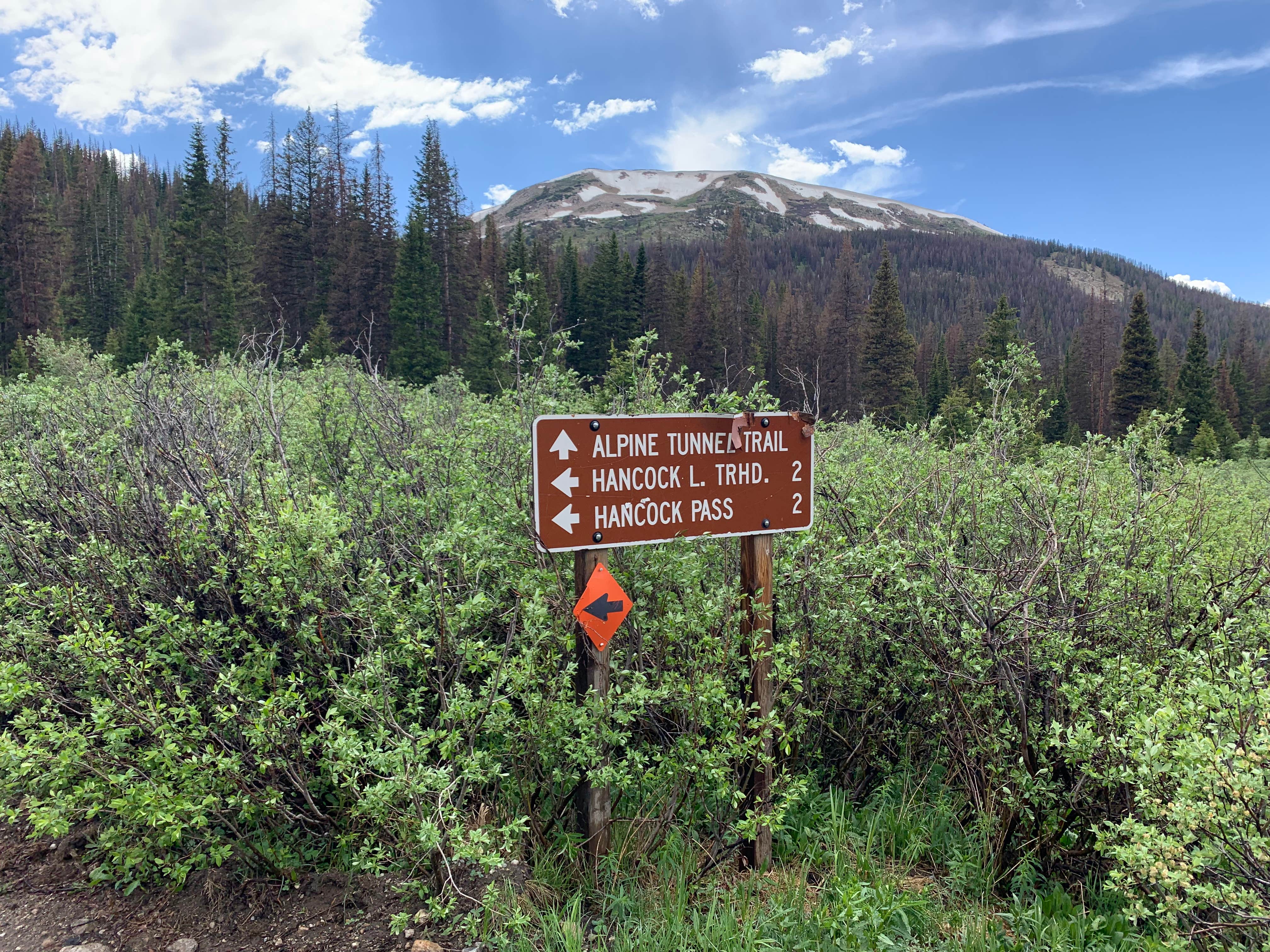 Camper submitted image from Alpine Tunnel Trailhead Dispersed - 2