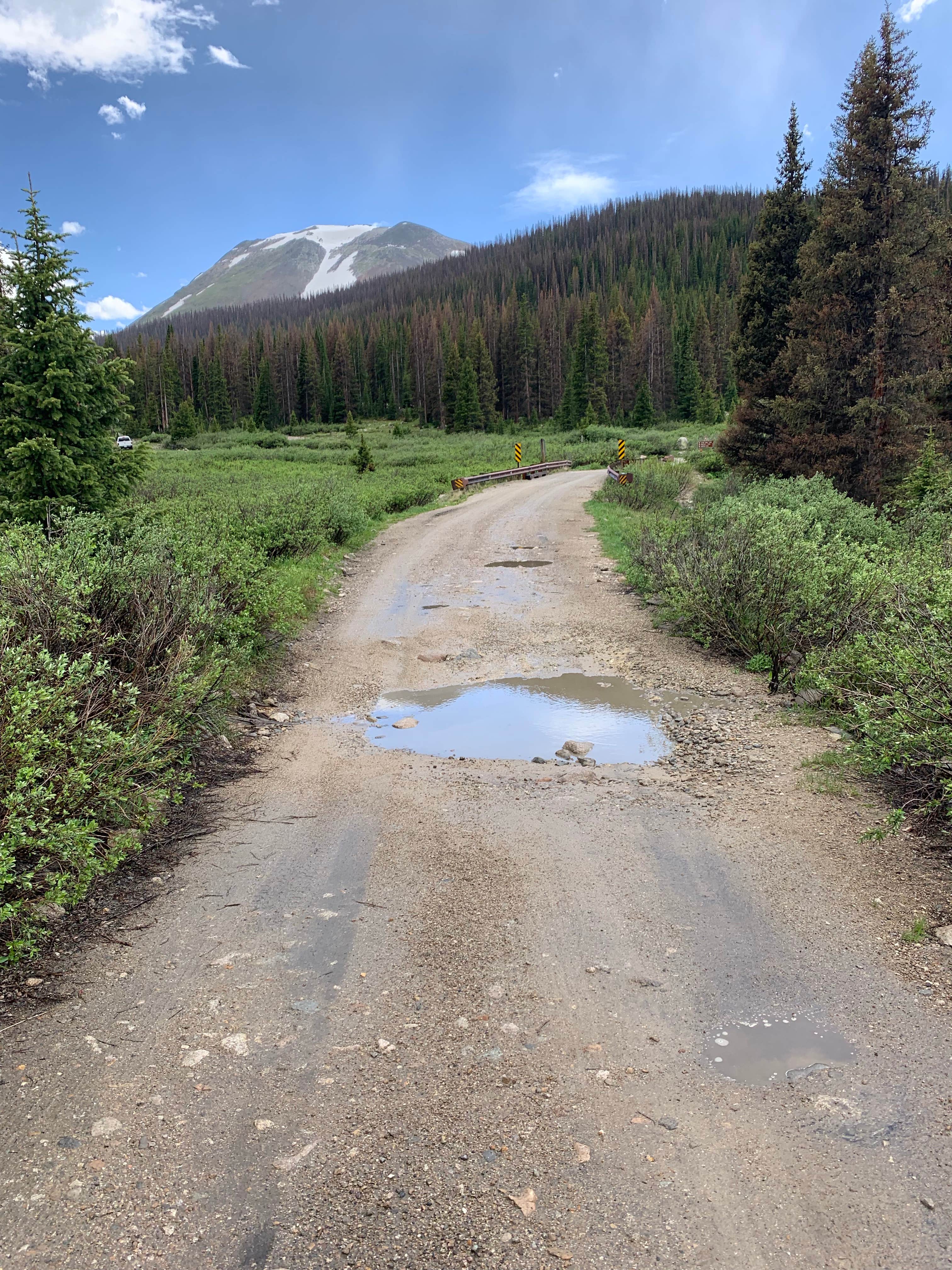 Camper submitted image from Alpine Tunnel Trailhead Dispersed - 3