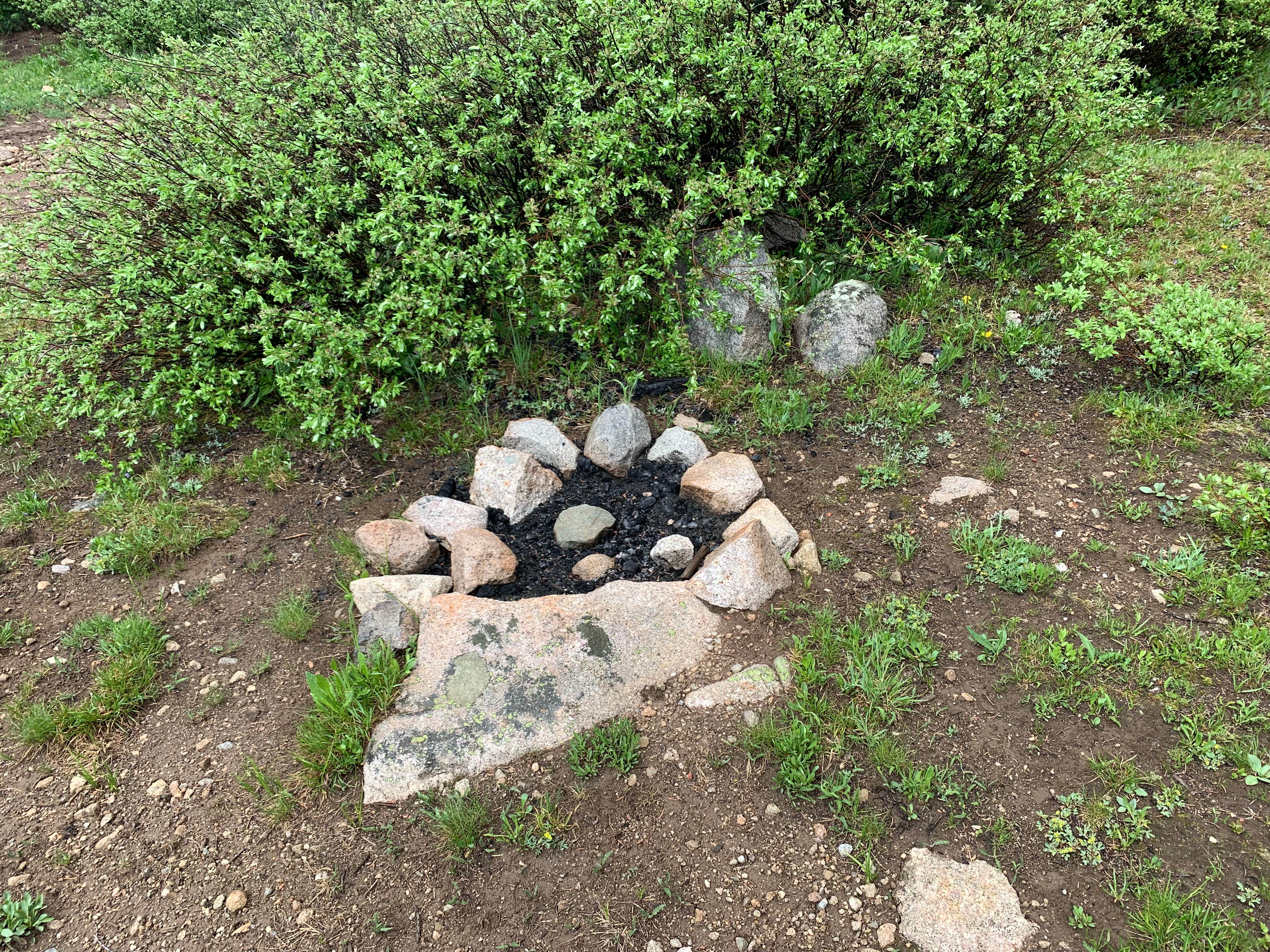 Camper-submitted photo at Alpine Tunnel Trailhead Dispersed near Pitkin, CO