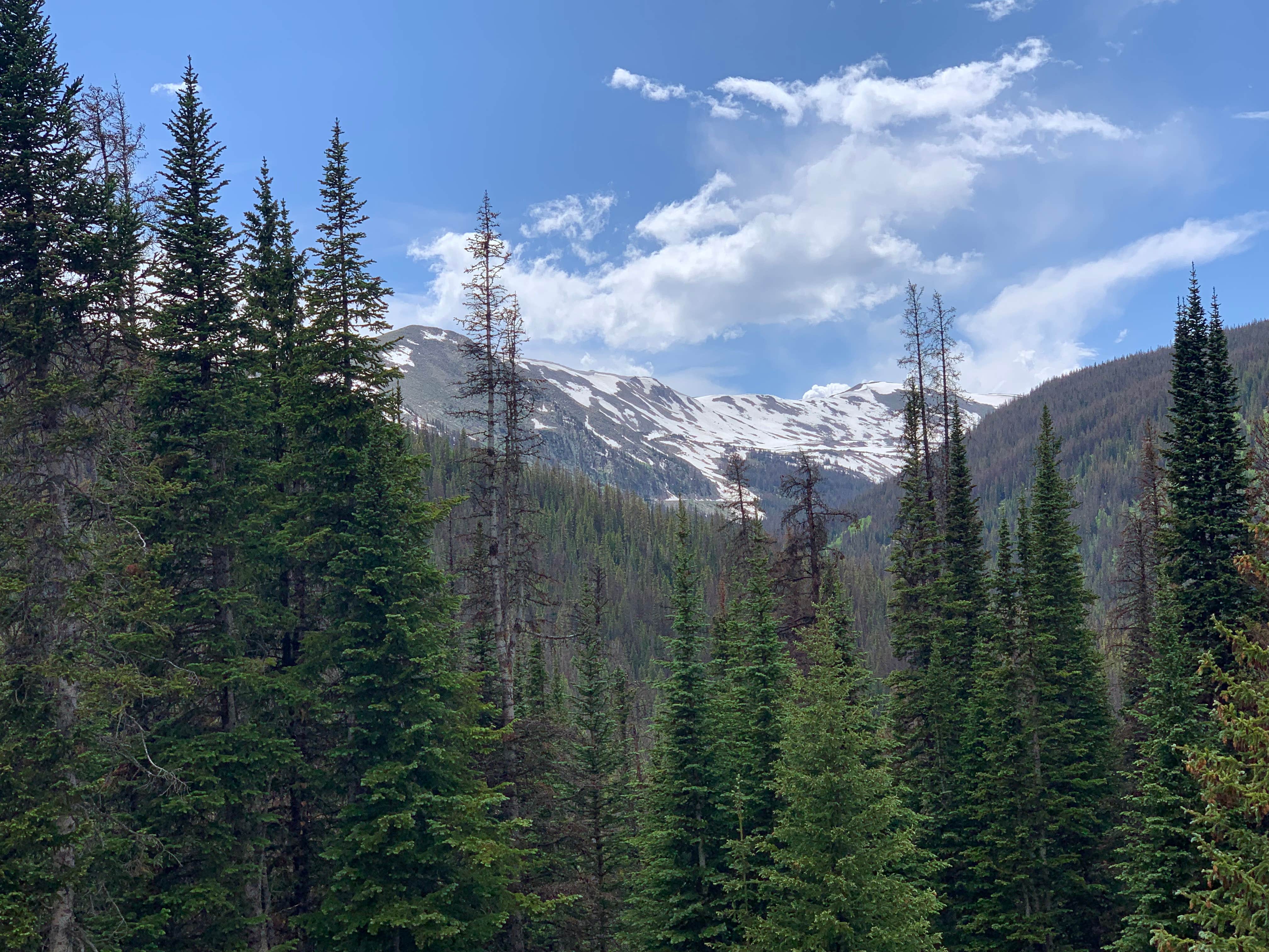 Camper-submitted photo at Alpine Tunnel Trailhead Dispersed near Pitkin, CO