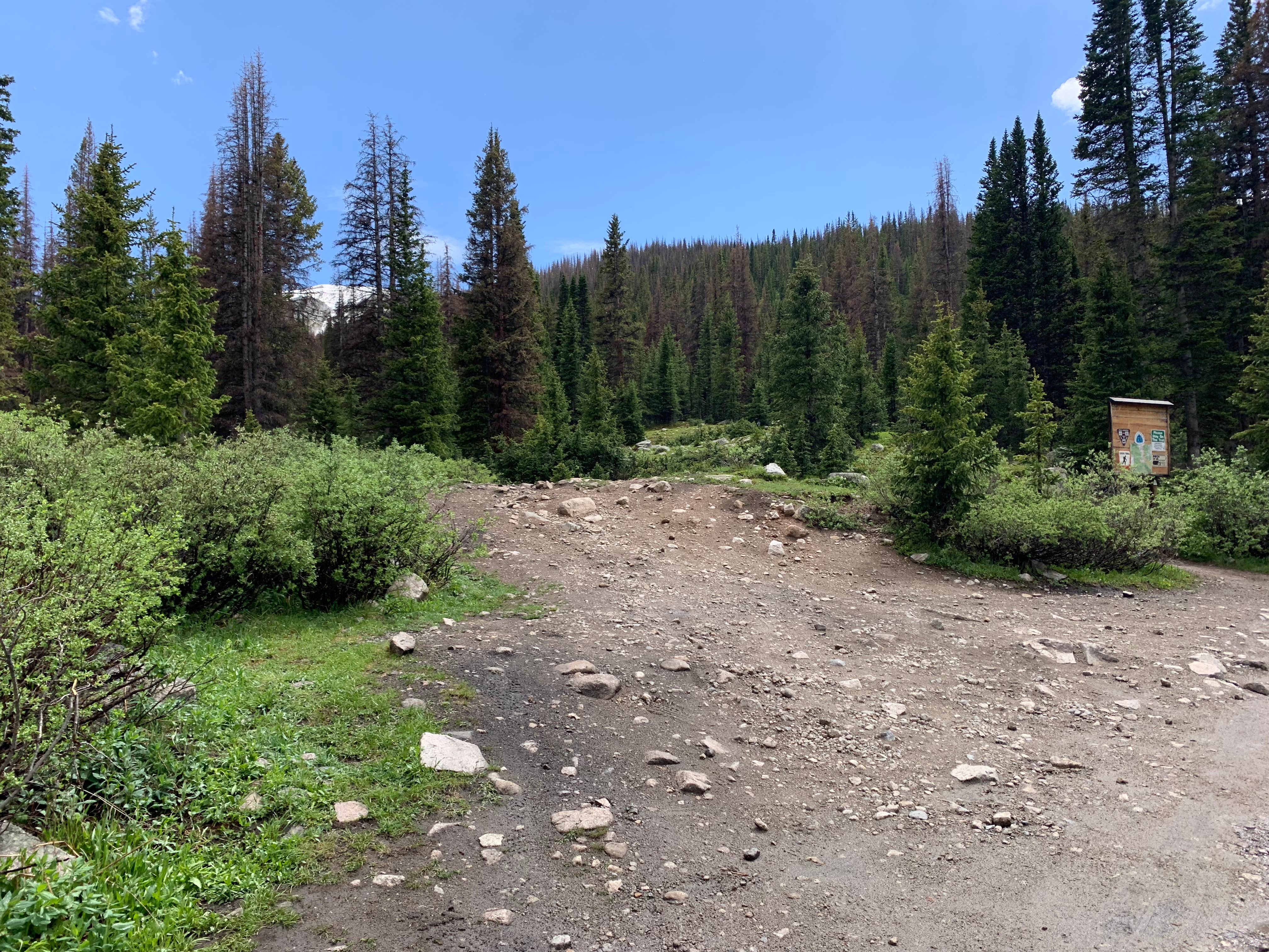 Camper-submitted photo at Alpine Tunnel Trailhead Dispersed near Pitkin, CO