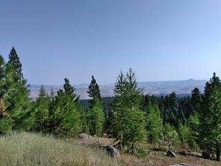 View All