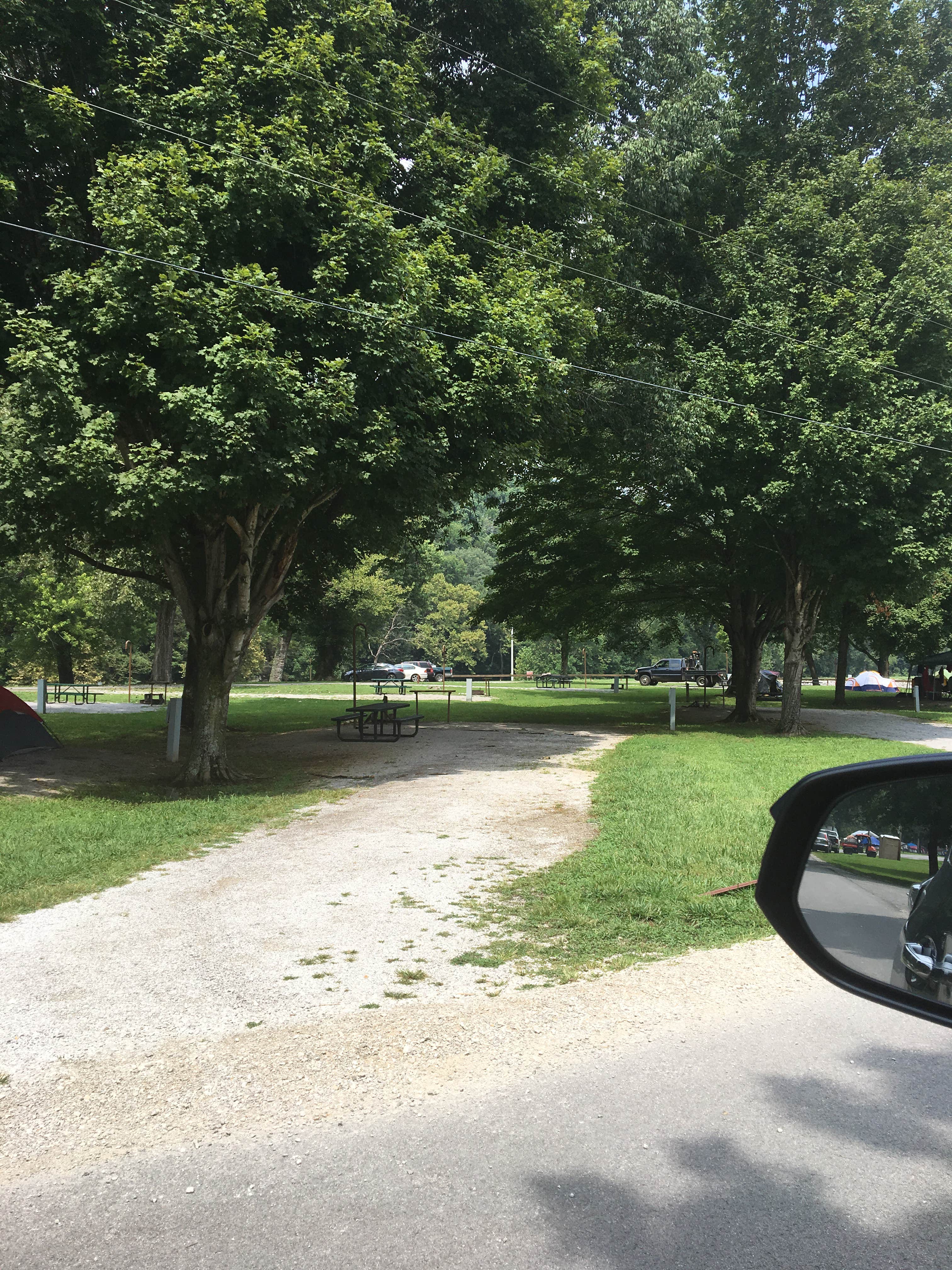 Camper-submitted photo at Tailwater Below Dam near Scottsville, KY