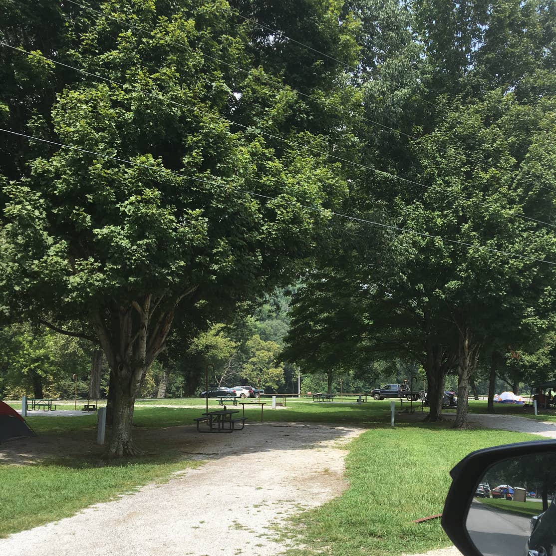 Tailwater Below Dam Camping Scottsville, KY