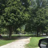 Review photo of Tailwater Below Dam by Shelly S., August 14, 2017