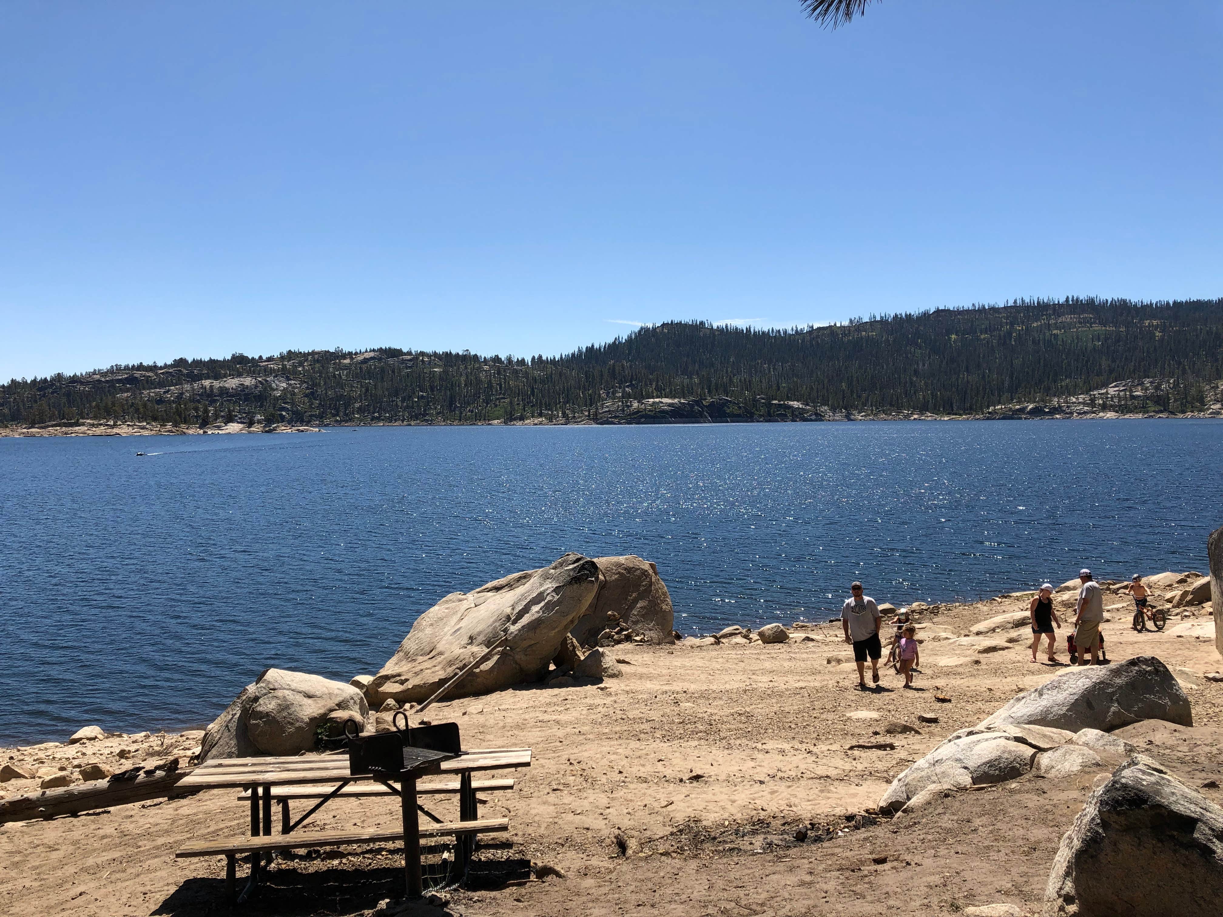 Camping near Fence Creek Campground: Spicer Reservoir Campground, Bear Valley, California
