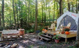 The Dyrt's photo at Birch Berry Pines near Stephentown, NY