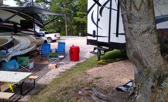 Cheryl L.'s photo at Wanderlust RV Park near Eureka Springs, AR