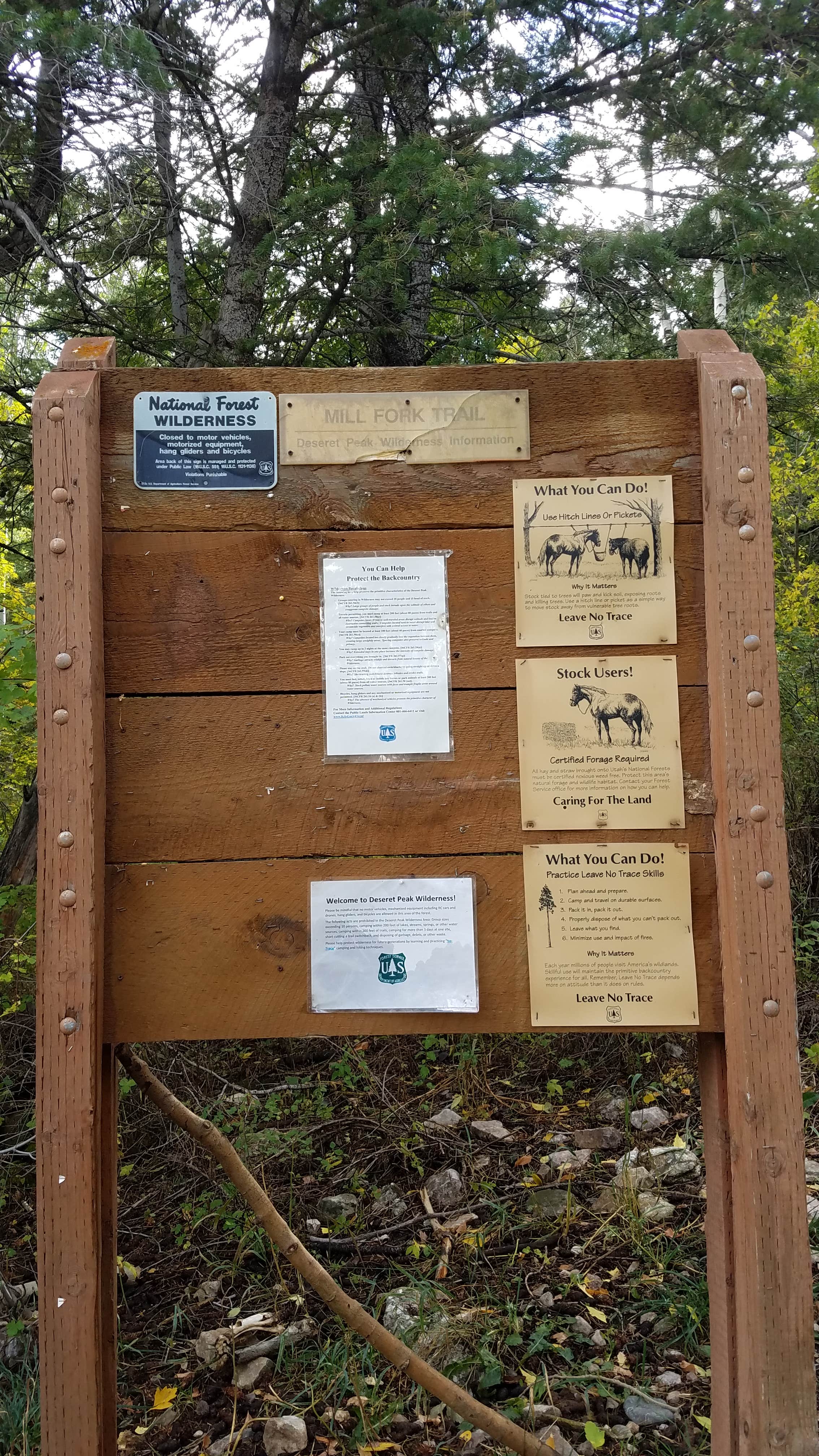 Camping near Foothill Clearing with a View: Loop Campground, Grantsville, Utah