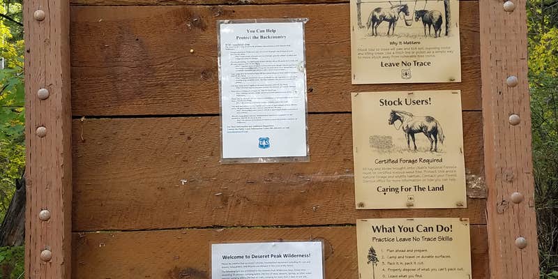 Camper submitted image from Loop Campground