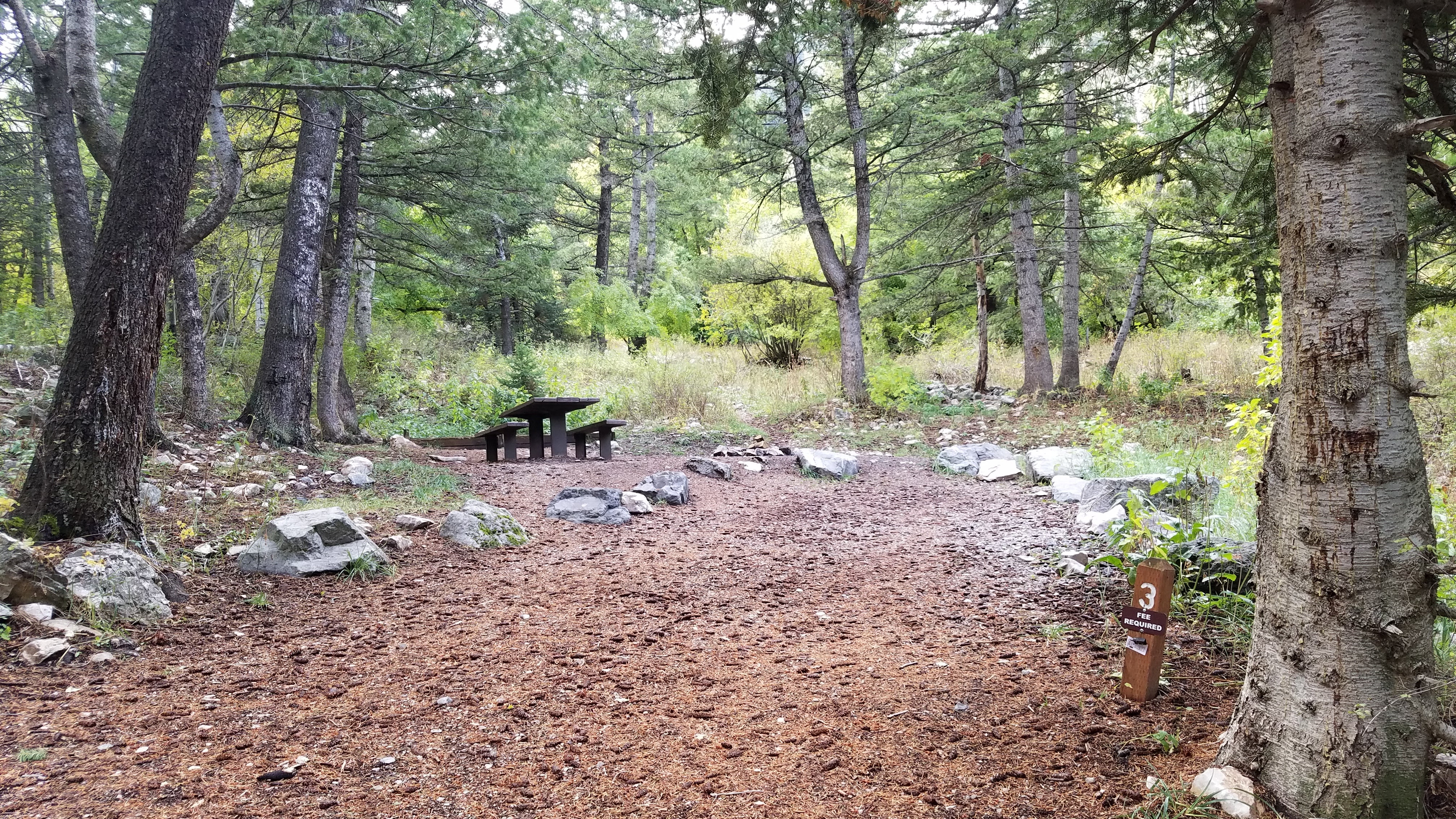Camper submitted image from Loop Campground - 5