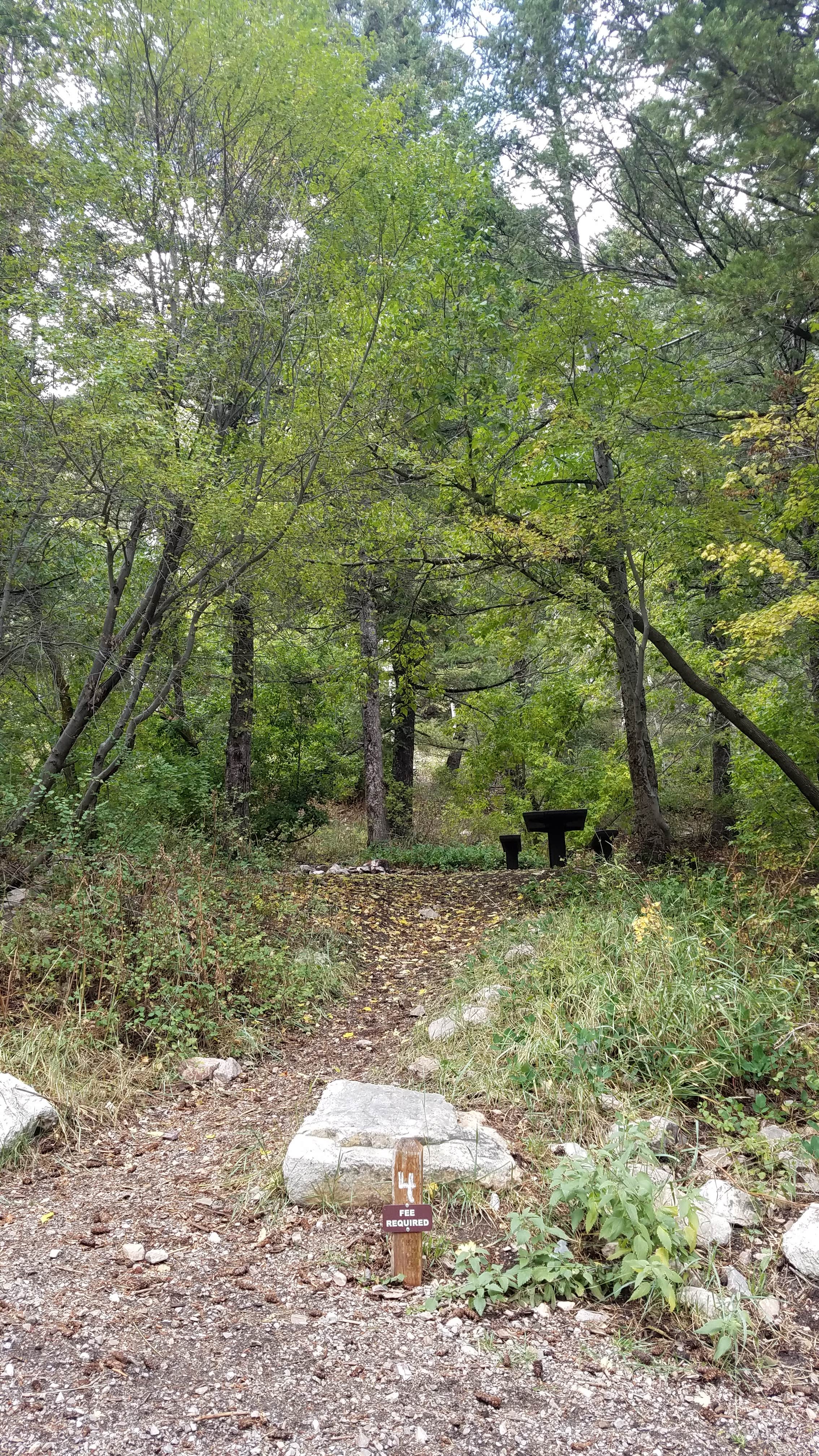 Camper submitted image from Loop Campground - 3