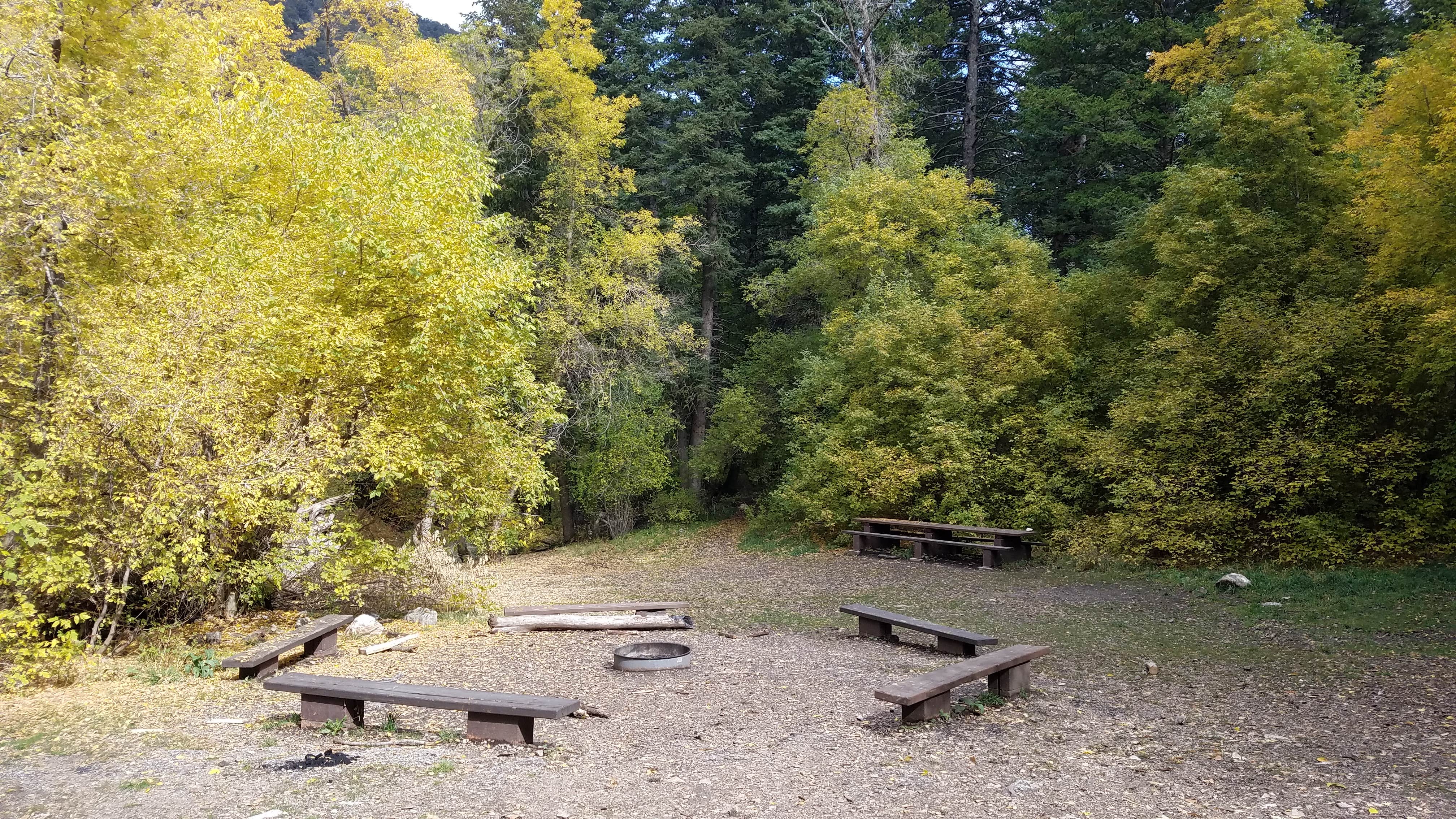 Camper submitted image from Upper Narrows - 3