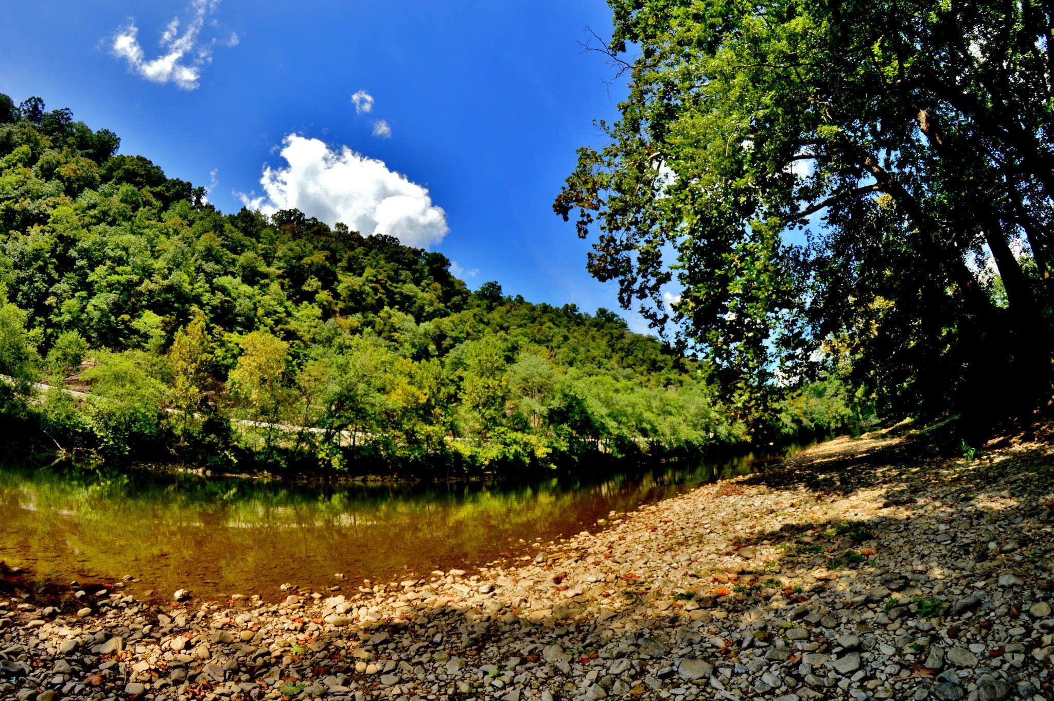 Camper submitted image from Breeden Bottom Campground - 2