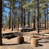 Review photo of Halfmoon Campground by Antonio  C., October 2, 2019