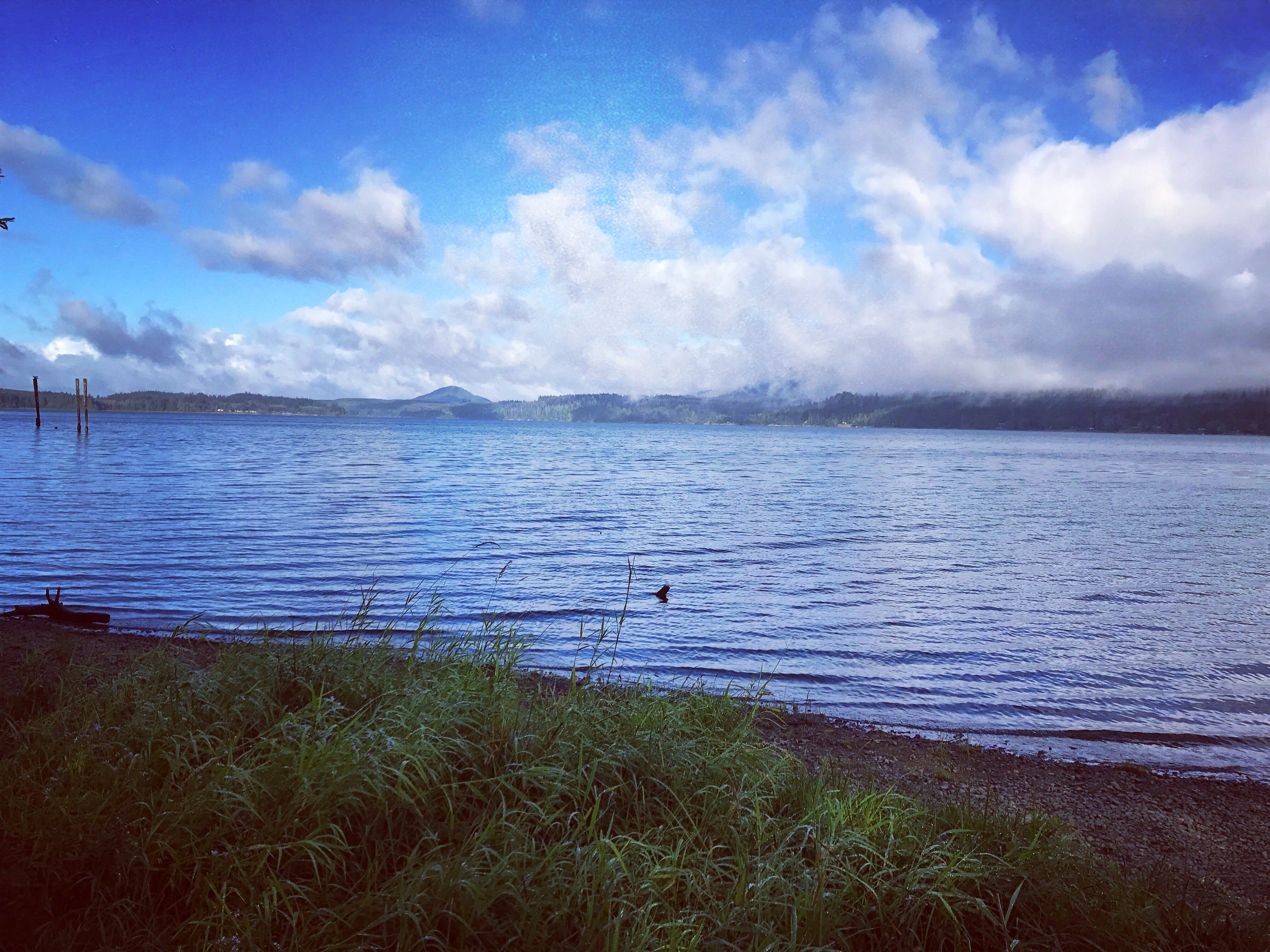 Camper submitted image from Gatton Creek Campground - 2