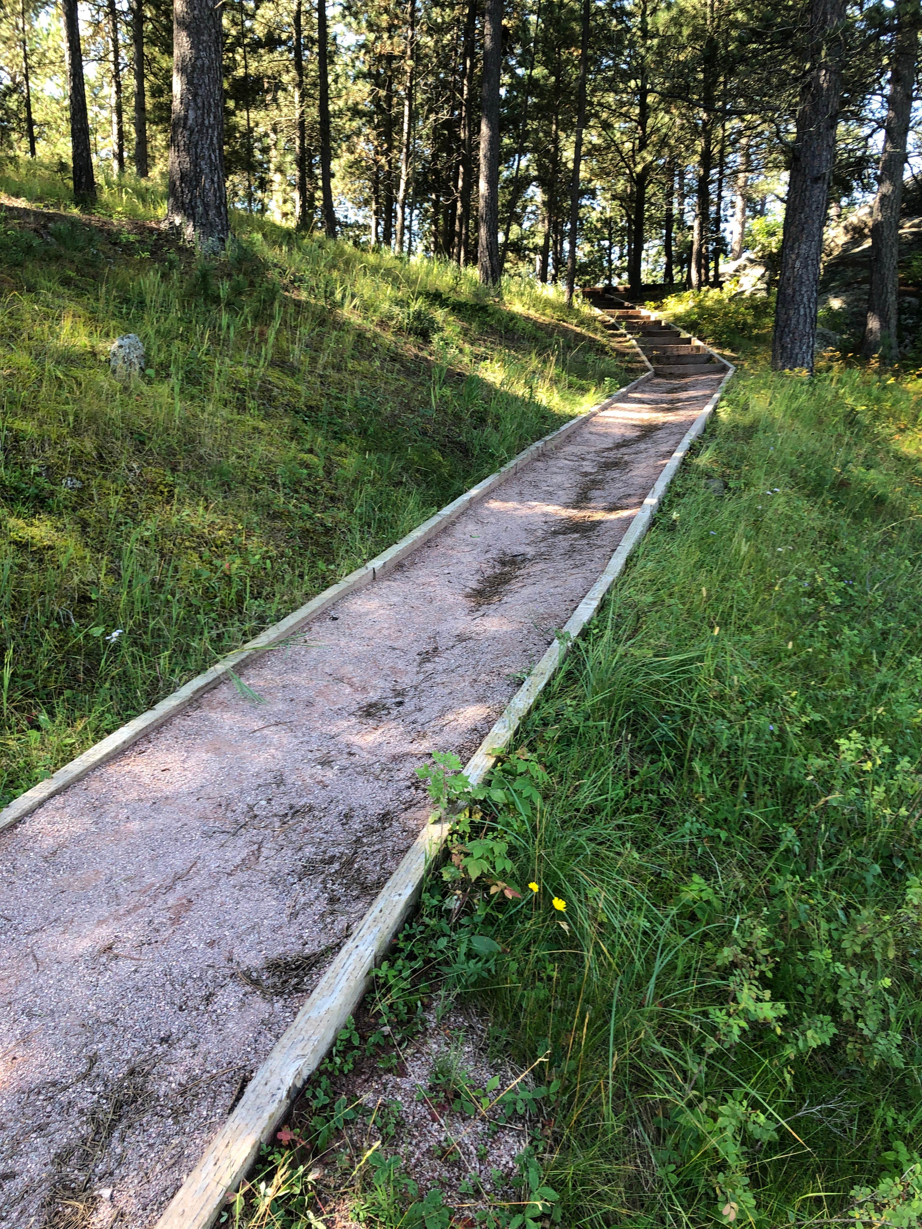 Camper submitted image from Bismarck Lake Campground - 4