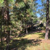 Review photo of Bismarck Lake Campground by Hayley K., October 2, 2019