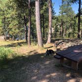 Review photo of Bismarck Lake Campground by Hayley K., October 2, 2019