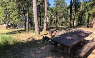 Hayley K.'s photo of camping with pets at Bismarck Lake Campground near Custer, SD