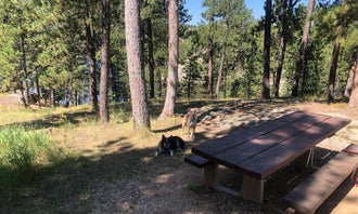 Bismarck Lake Campground