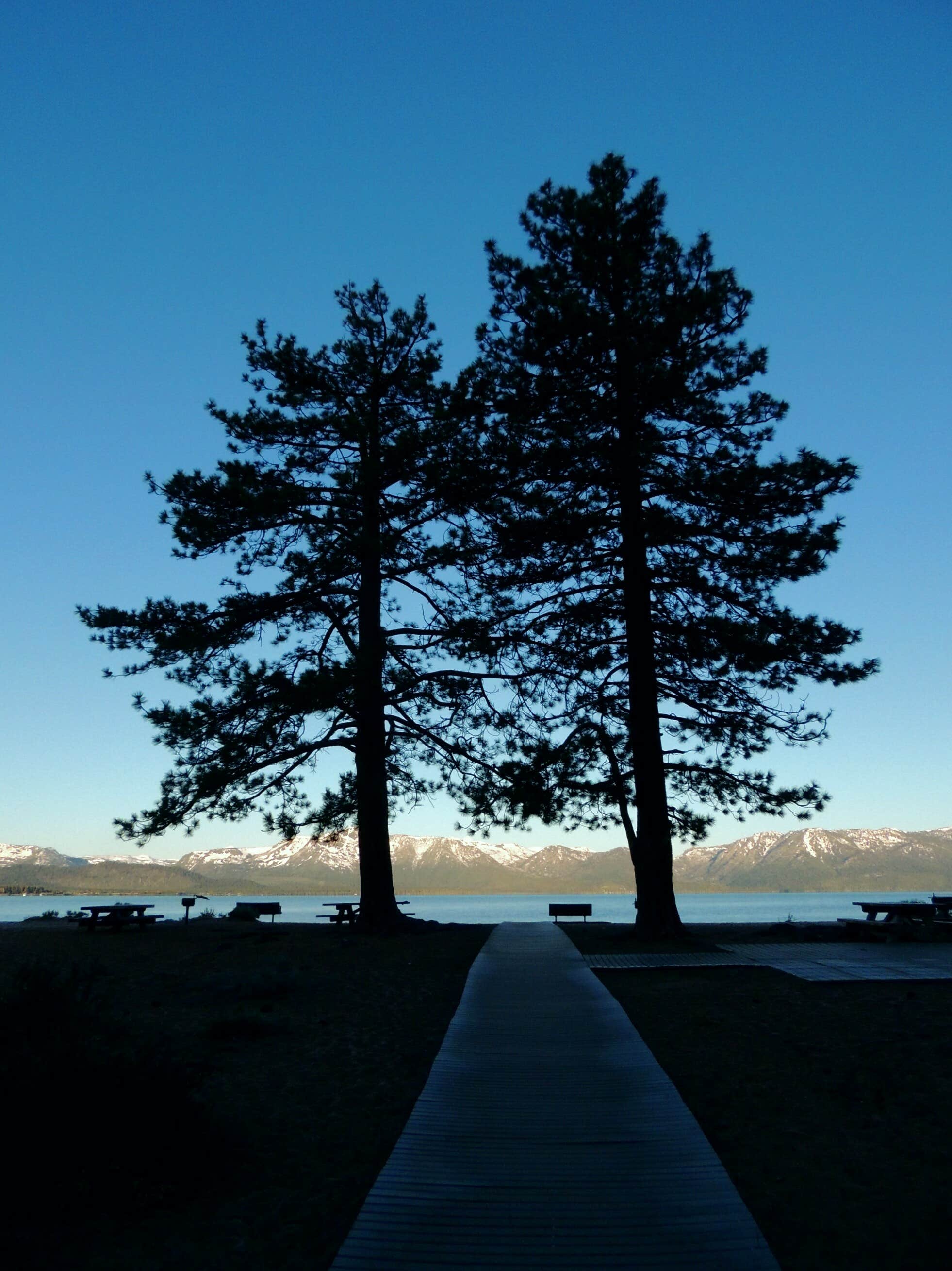 Camper submitted image from Nevada Beach Campground and Day Use Pavilion - 5