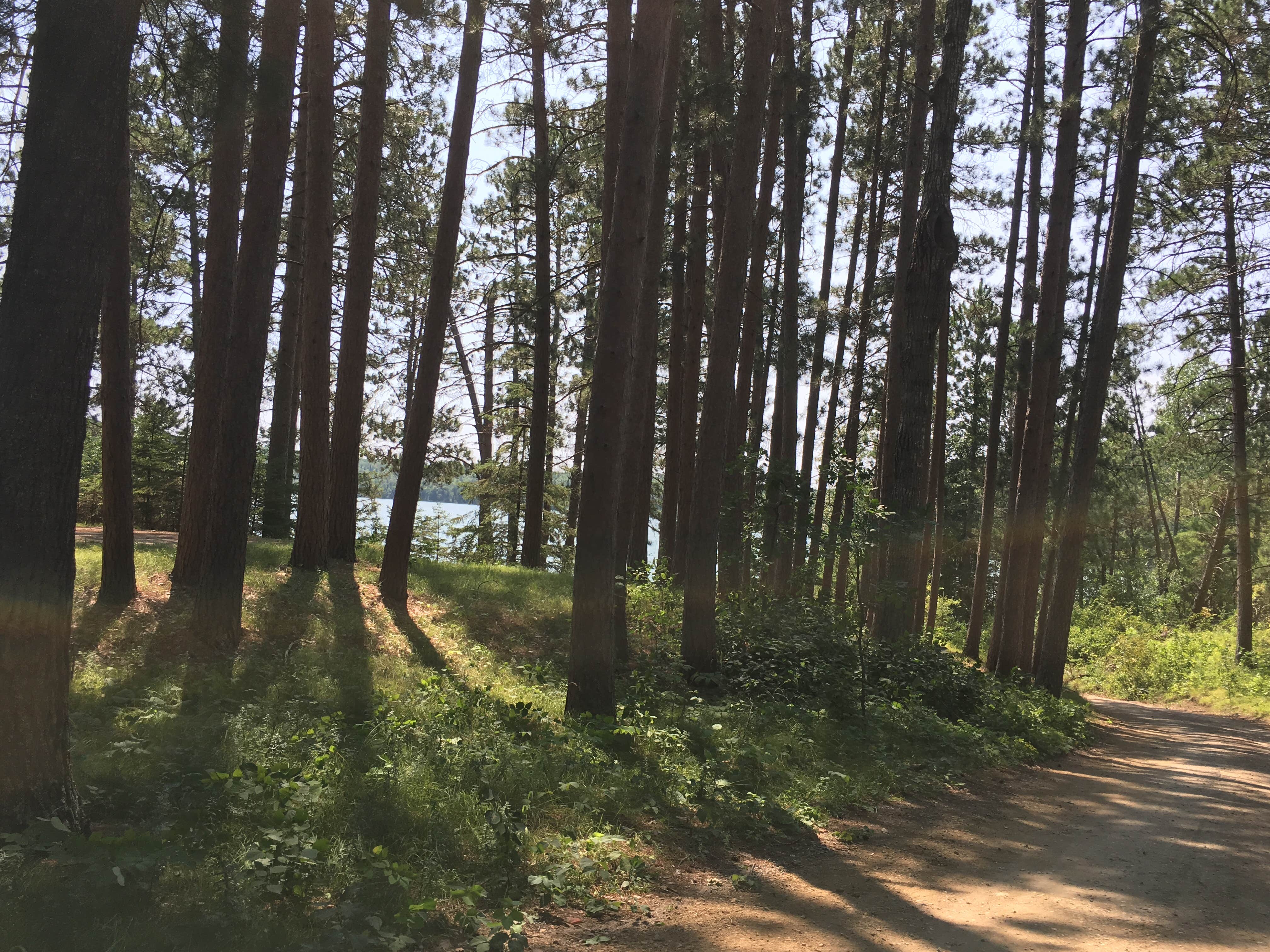 Camper-submitted photo at LaSalle Lake State Recreation Area near Midway, MN