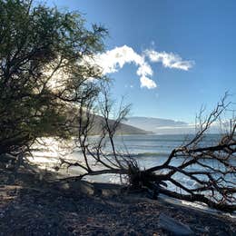 Camp Olowalu