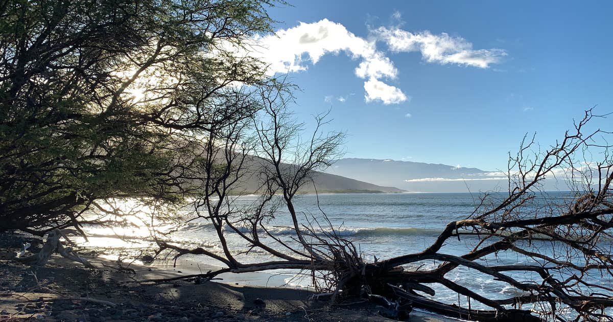 Camp Olowalu