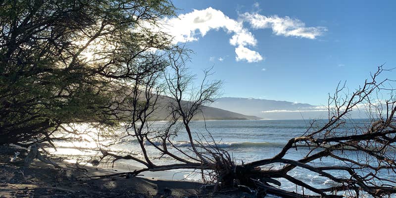 Camper submitted image from Camp Olowalu